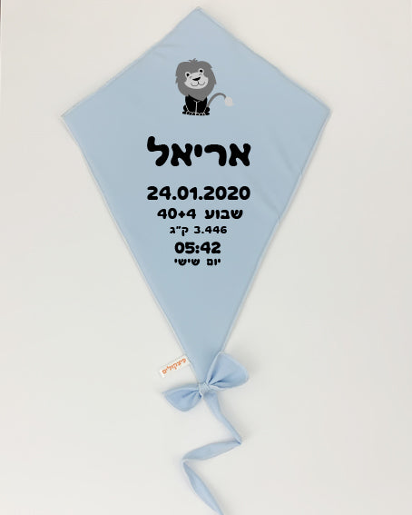 עפיפון קיר עם פרטי הבייבי בצבע תכלת | פיצקולים