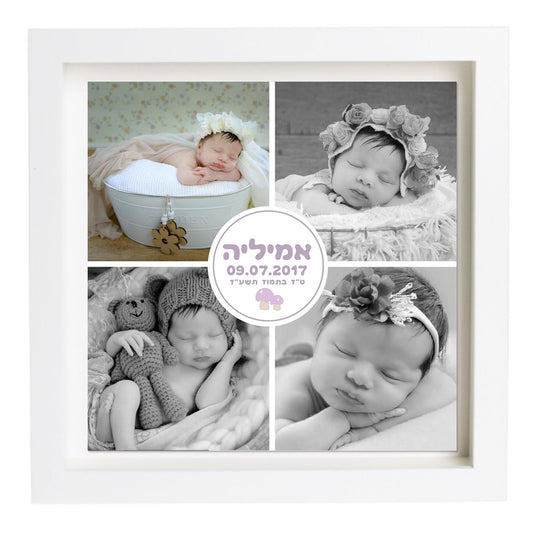  פיצקולים בייסיק | תעודת לידה | מתנה ליולדת | סגול
