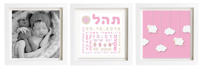  פיצקולים טריו | תעודת לידה | מתנה ליולדת | ורוד