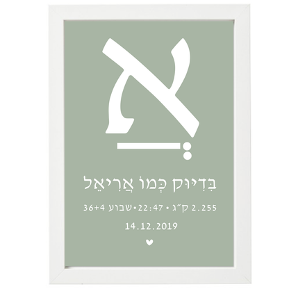  פיצקולים דיטיילס | תעודת לידה | מתנה ליולדת | ירוק בהיר