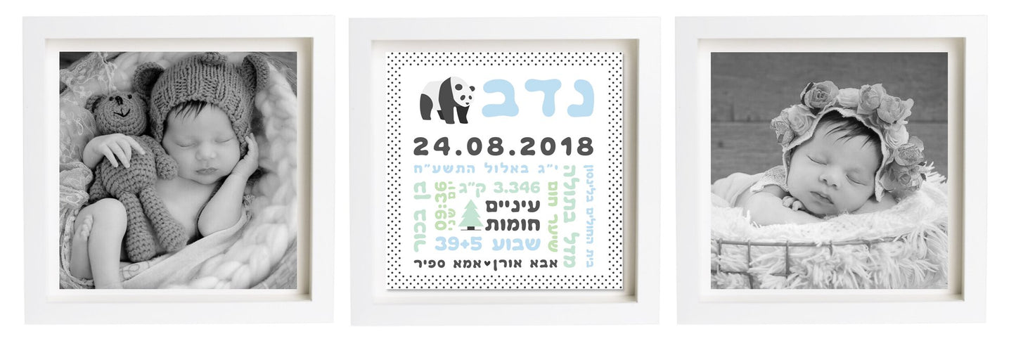 תעודת לידה בעיצוב אישי | פיצקולים טריפל | מתנה ליולדת