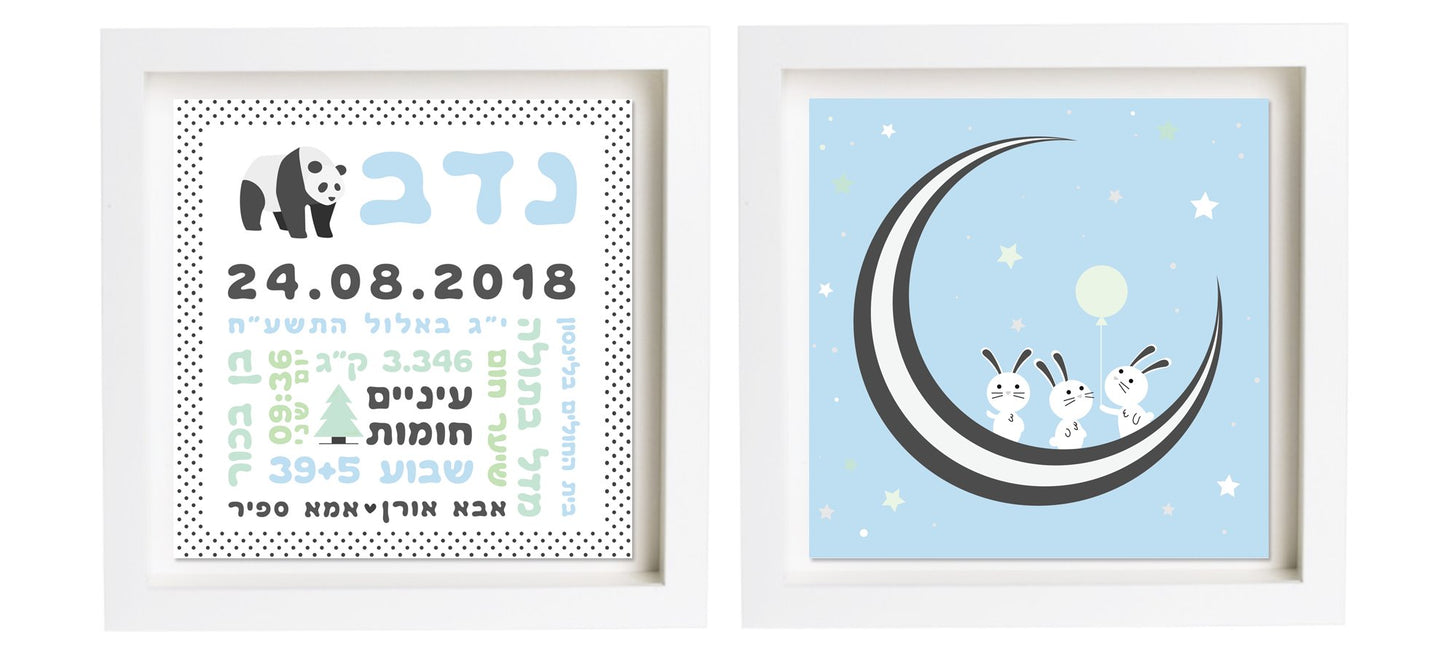 תעודת לידה בעיצוב אישי | פיצקולים נסיכותי | מתנה ליולדת