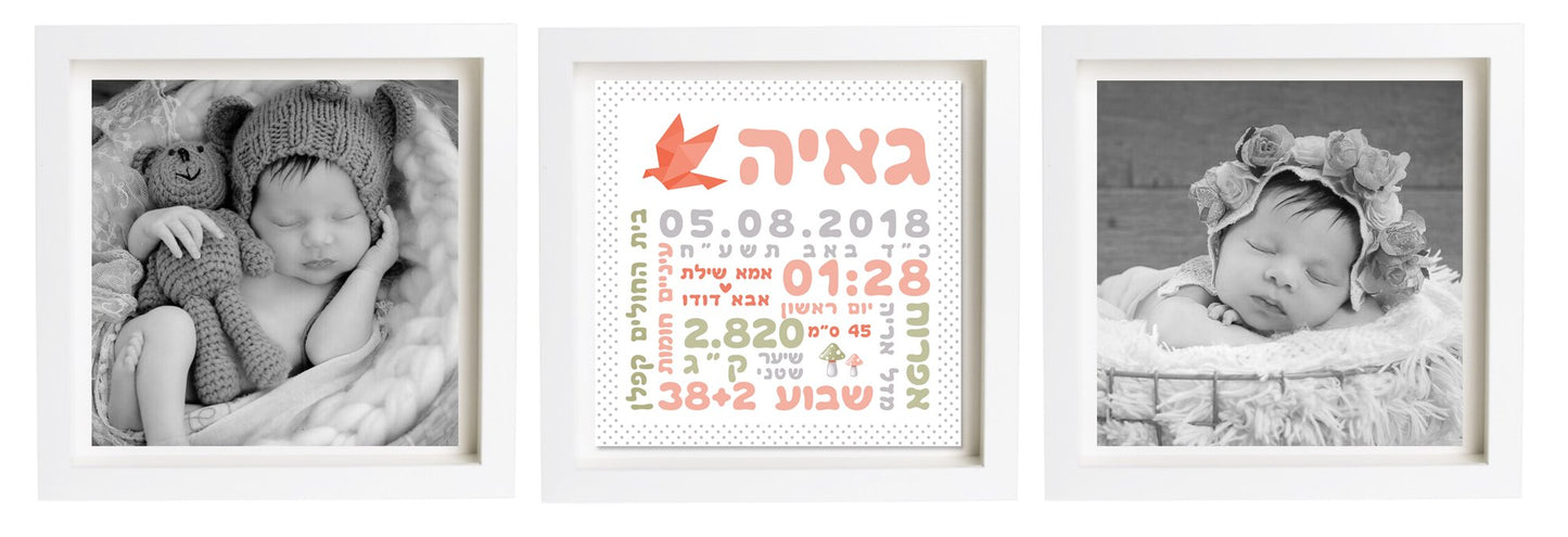 פיצקולים טריפל | תעודת לידה | מתנה ליולדת | כתום