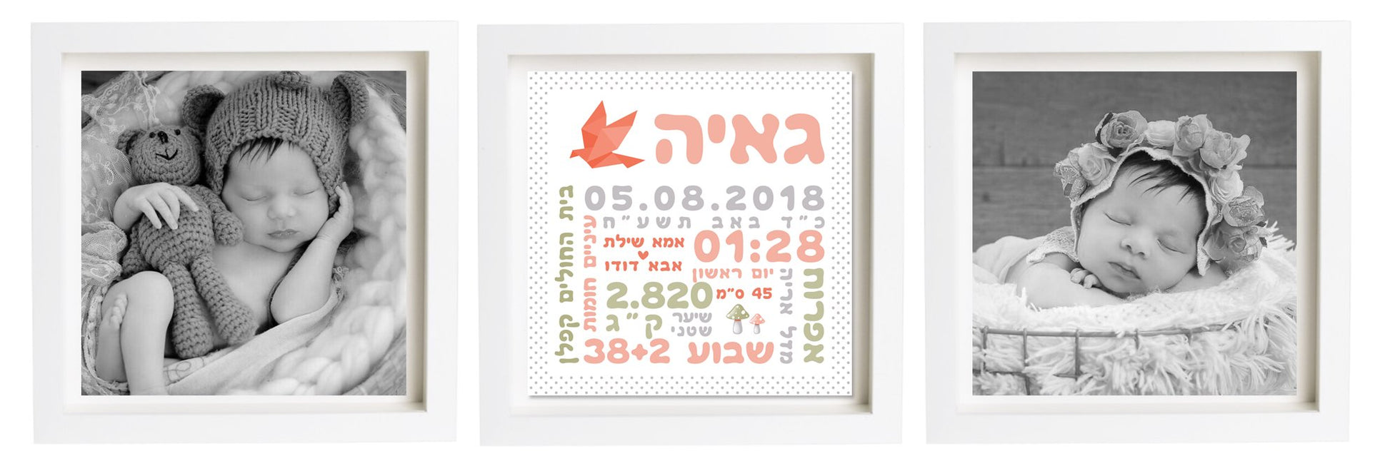  פיצקולים טריפל | תעודת לידה | מתנה ליולדת | כתום
