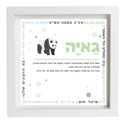  פיצקולים פלוס | תעודת לידה | מתנה ליולדת | ירוק-תכלת