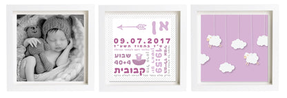  פיצקולים טריו | תעודת לידה | מתנה ליולדת | סגול