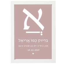  פיצקולים דיטיילס | תעודת לידה | מתנה ליולדת | ורוד עתיק