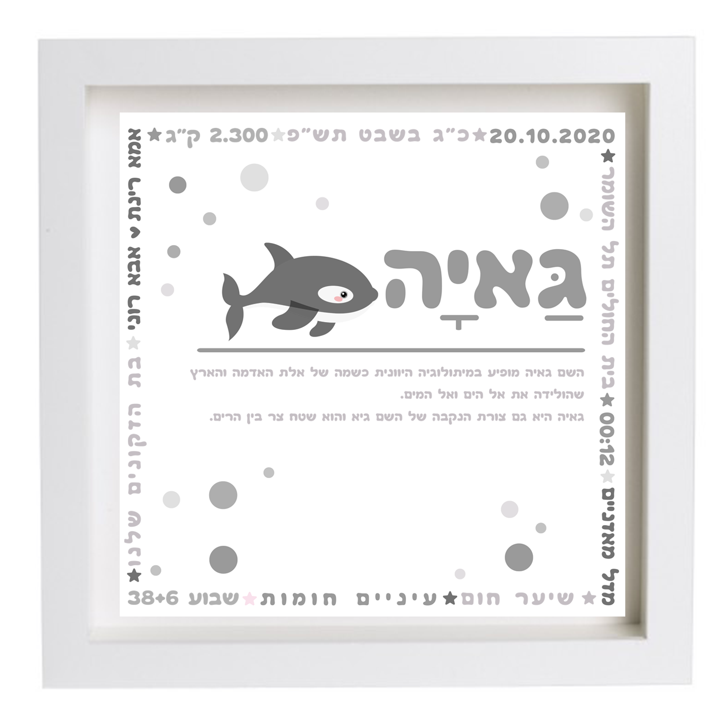  פיצקולים פלוס | תעודת לידה | מתנה ליולדת | אפור