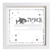  פיצקולים פלוס | תעודת לידה | מתנה ליולדת | אפור