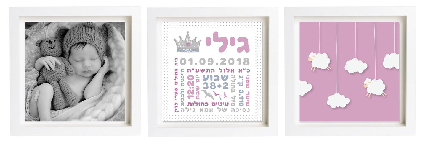  פיצקולים טריו | תעודת לידה | מתנה ליולדת | סגול