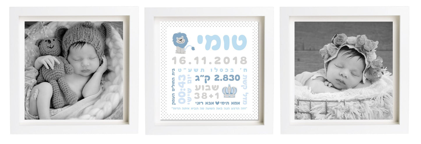  פיצקולים טריפל | תעודת לידה | מתנה ליולדת | תכלת