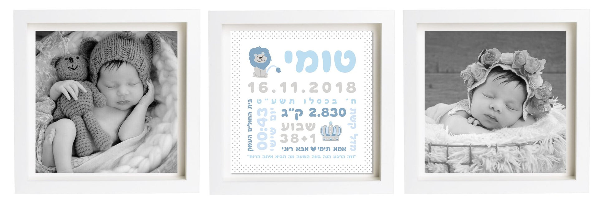  פיצקולים טריפל | תעודת לידה | מתנה ליולדת | תכלת